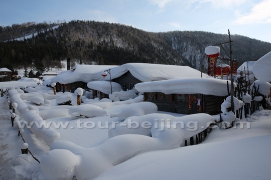 Snow covered houses