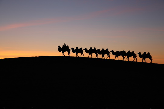 Sunrise over the sand dunes with camels on the top