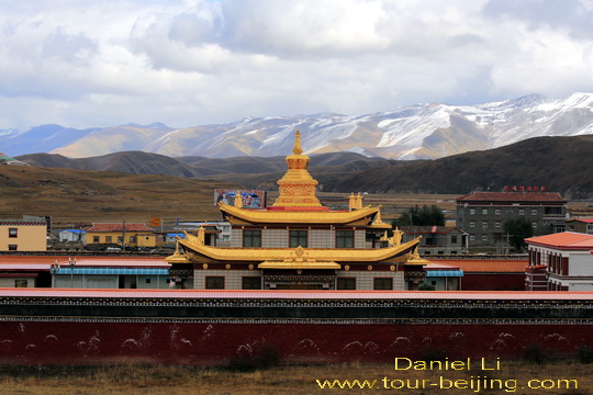 Tagong Temple Pagoda Forest