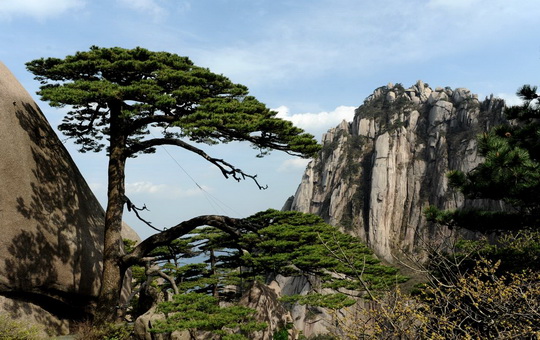 The Beauty of Huangshan