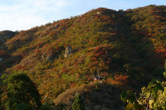 The colorful hills of the park is brightened by the fresh sun.