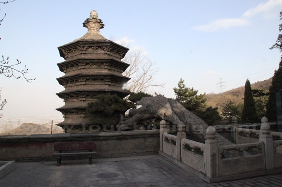 The pagoda and the Pagoda Embracing Pine Tree.