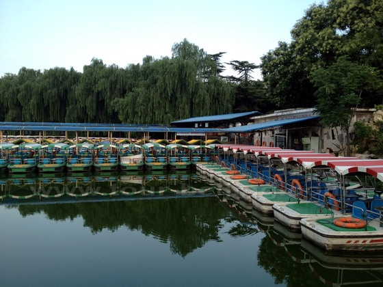 The pleasure boat dock in the west lake.