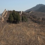The so called Wild City is a four-sided wall, now rife with bushes and saplings.