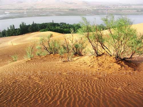 Tianmo Desert