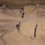 Two pulling the chariots