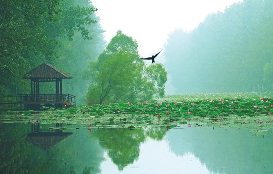 Weishan Lake 