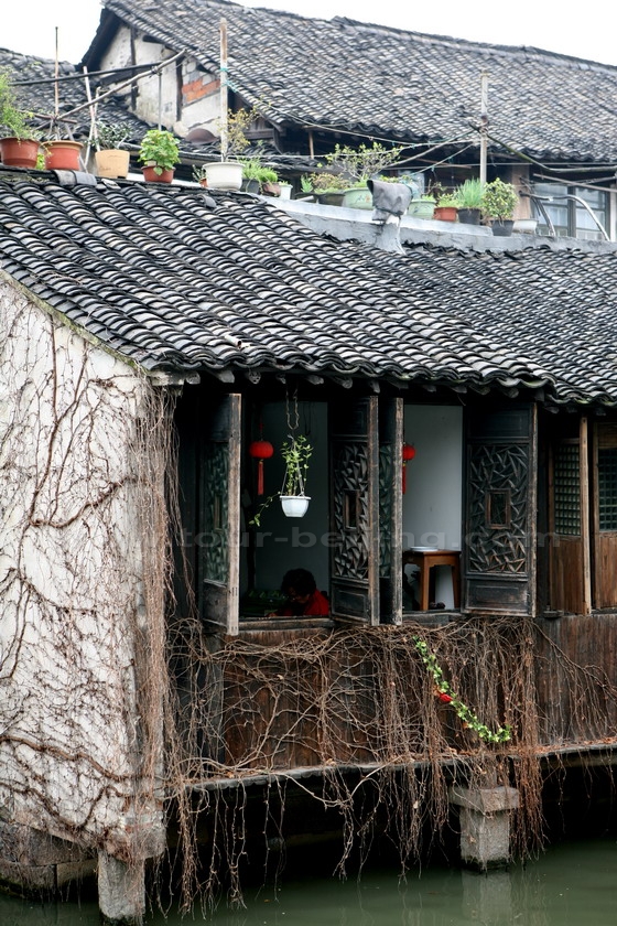 Wuzhen Water Town is not a artificial replica of the historic town, and it is still inhabitated by the local residents.