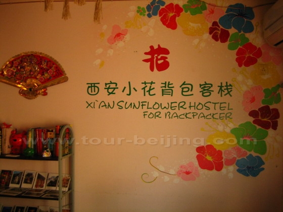 Xian Sunflower Backpacker Hostel