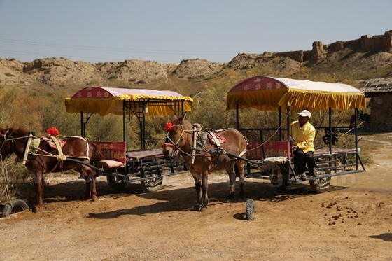 horse cart for a romantic tour of the red-willow valley.