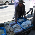 local vendor selling various dairy products