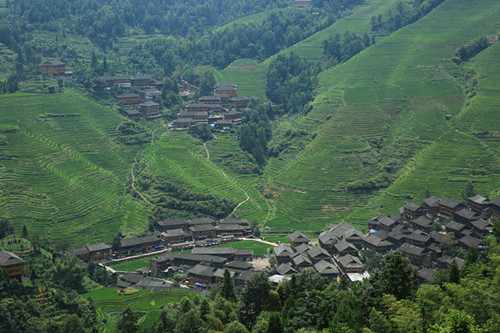 The Dazhai Village and the surrounding rice terraces