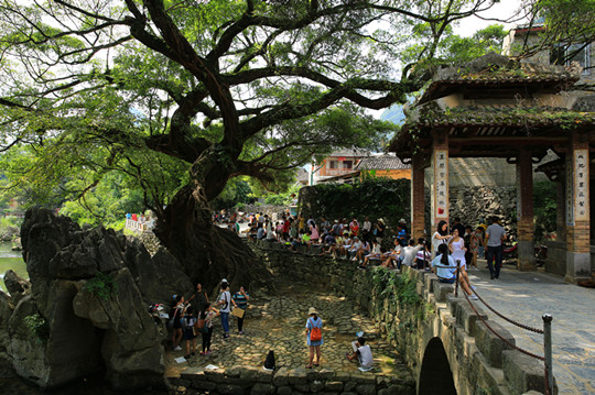 Longmen Banyan tree