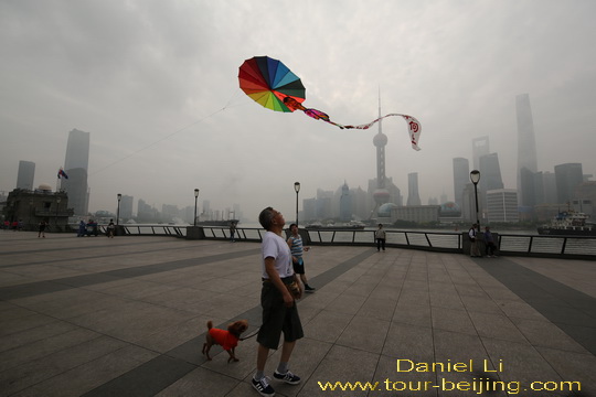 A flying down kite intrigues a dog walker.