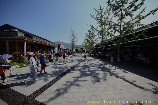 The road leading to the Shuttle Bus Terminal is lined with restaurants and vendor stalls.