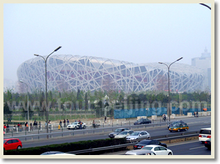 Bird's nest