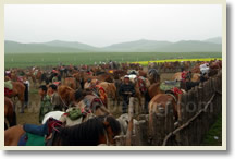 Beijing Mulan Weichang Grassland 3 Days Tour