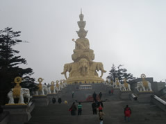 Chengdu Leshan Mt.Emei Two-Day Tour