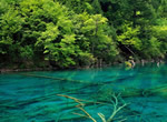 Beijing Chengdu Jiuzhaigou Yangtze Cruise Shanghai 14-day Tour