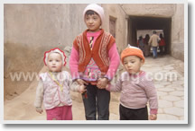 Silk Road Tours