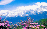 Jade Dragon Snow Mountain