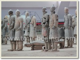 Terra Cotta Army