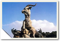 Guangdong Tour