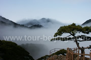 Huangshan Tours