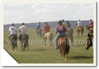 Inner Mongolia Summer Tour