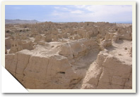 Xinjiang Tour