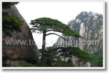 Beijing Mt.Huangshan Hongcun Shanghai 9 Day Tour