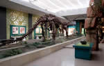 Gansu Provincial Museum