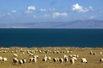 Xian Xining Lanzhou Xiahe Jiayuguan Dunhuang 6-Day Tour