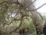 Urumqi Turpan Korla Kuqa Aksu Kashi 9-Day Tour