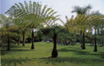The Menglun tropical Botanical Garden
