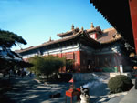 Capital Museum, Tibetan Lama Temple, Confucius Temple, Panda Garden and Ancient City Wall Relics Day Tour