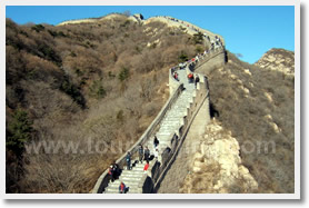 Continue to walk on the narrow path fored by bushes and sapalings