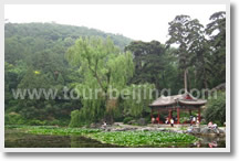 Most Environmental-Friendly Beijing Day Trip