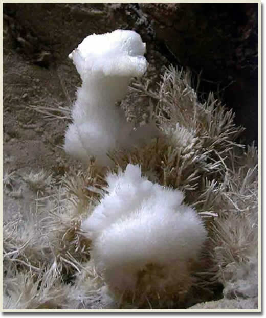 Beijing Silver Fox Cave