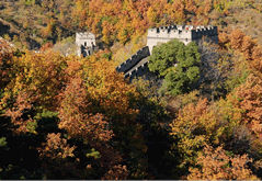 Mutianyu Great Wall and Hongluo Temple