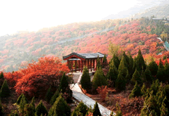 Huanghuacheng Great Wall and Hongluo Temple