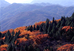 Badaling National Forest Park and Badaling Great Wall
