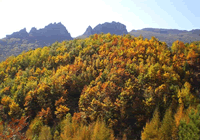 Jinshanling Great Wall and Wulingshan Nature Reserve