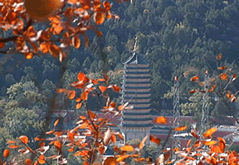 Badachu Park and Summer Palace
