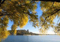 Badachu Park and Summer Palace