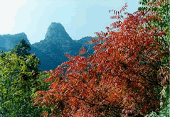 Shangfangshan National Forest Park and Tanzhe Temple