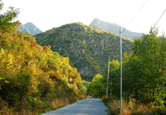 Songshan Forest Park and Guyaju ( Ancient Rock Dwelling ) Fall Foliage Tour