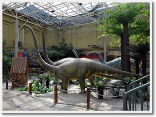 Beijing Science & Technology Museums Day Tour