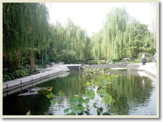 Beijing Family Day Tour A