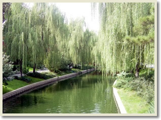 Beijing Family Day Tour A
